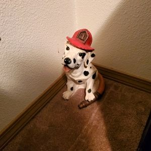 Fire house dog